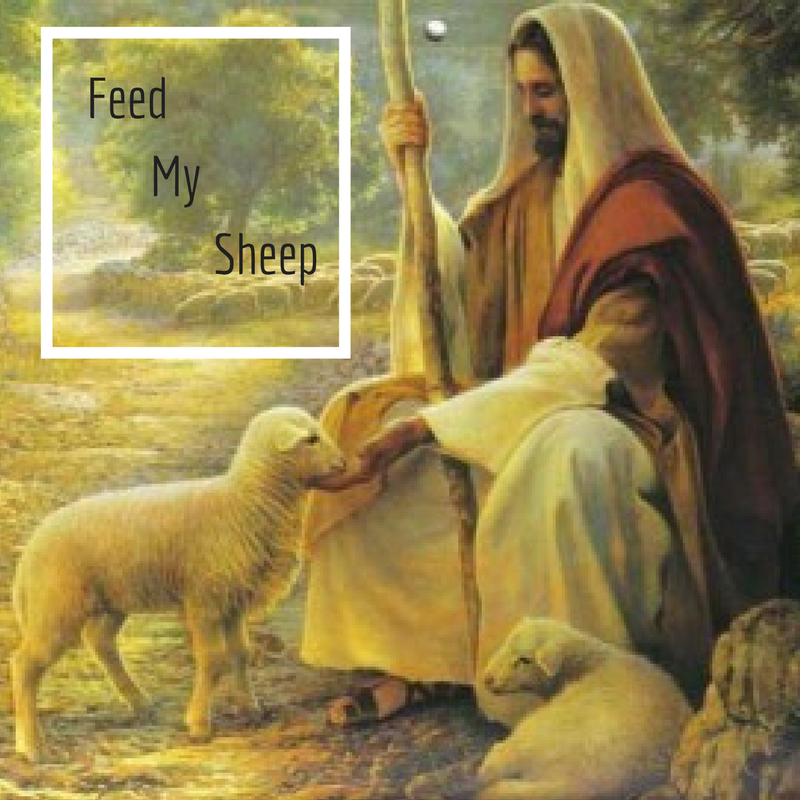 Feed My Sheep (41617) Calvary Chapel Troy